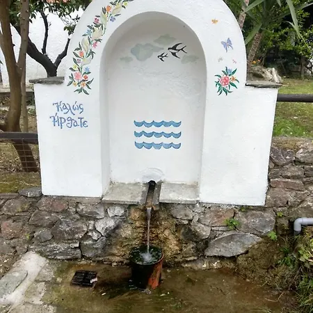 Flower House