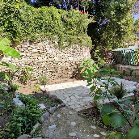 Flower House * Chorevtón