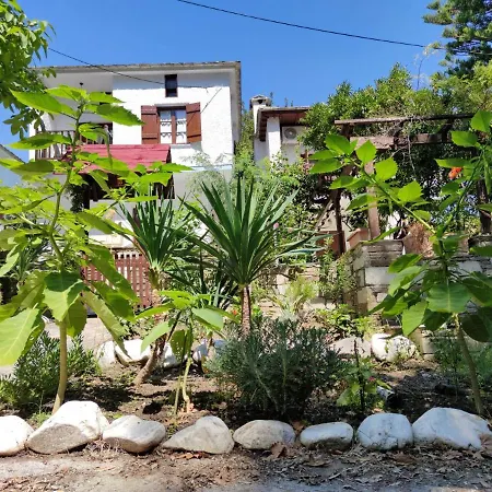 Villa Flower House *