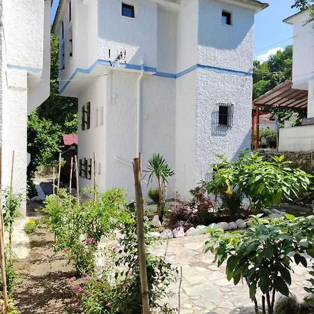 Villa Flower House *