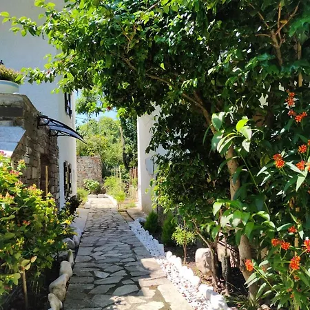 Villa Flower House
