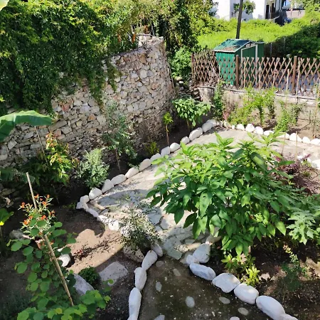 Villa Flower House *