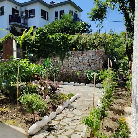 Flower House *