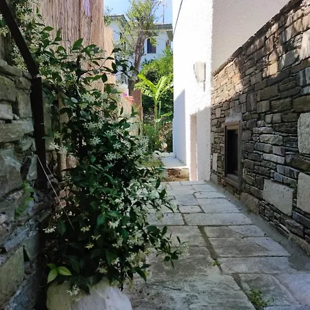 Flower House * Χορευτό