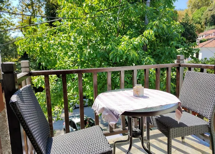 Villa Flower House *