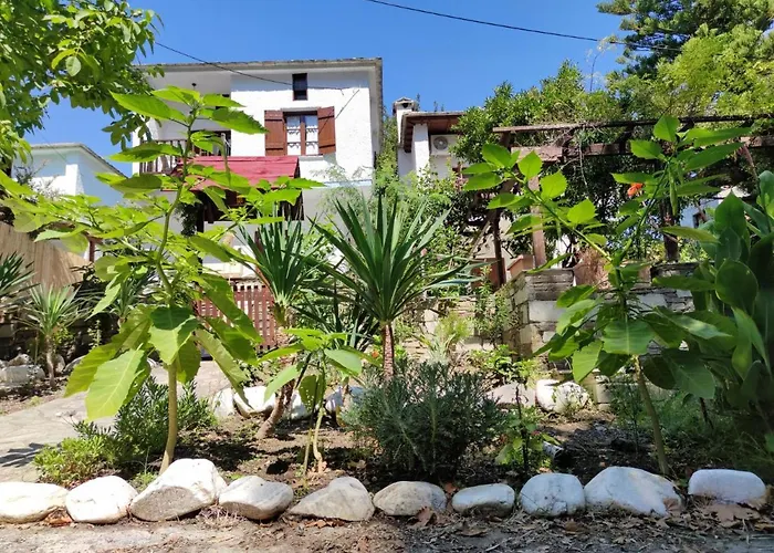 Villa Flower House *