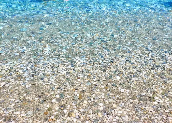 Flower House Villa *