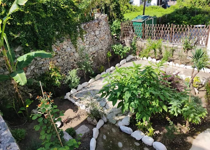 Villa Flower House *