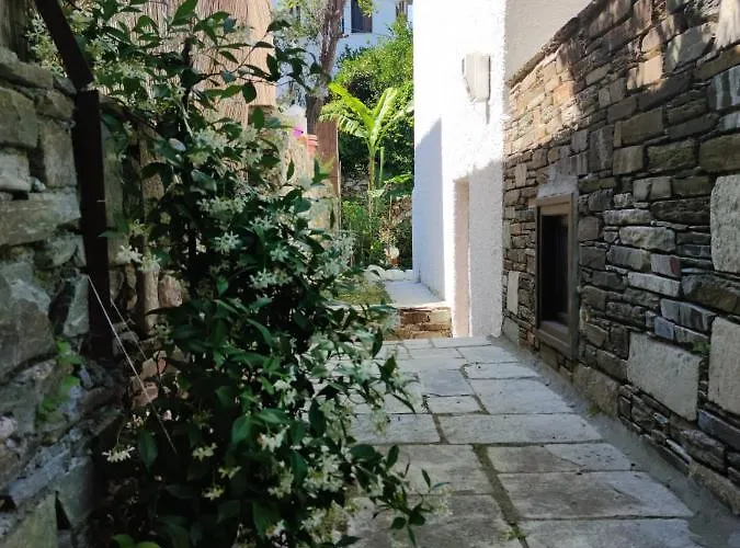 Flower House * Khorevtón